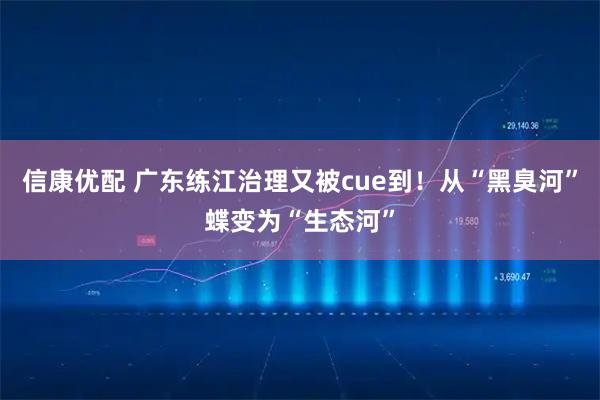 信康优配 广东练江治理又被cue到！从“黑臭河”蝶变为“生态河”