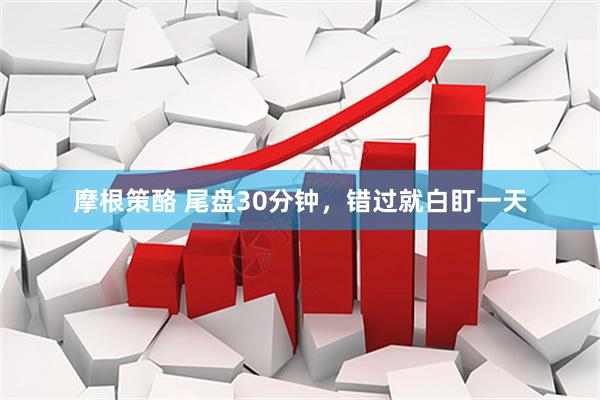 摩根策酪 尾盘30分钟,错过就白盯一天