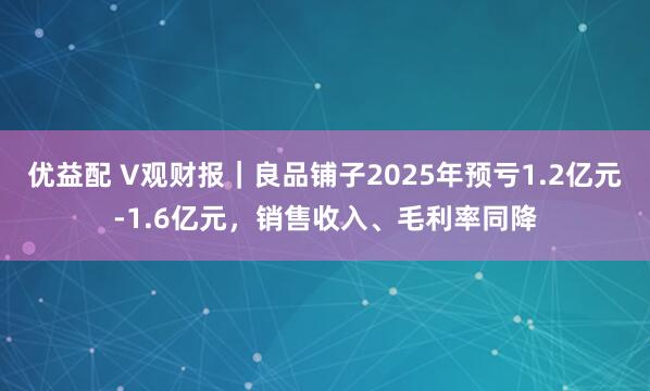 优益配 V观财报｜良品铺子2025年预亏1.2亿元-1.6亿元，销售收入、毛利率同降