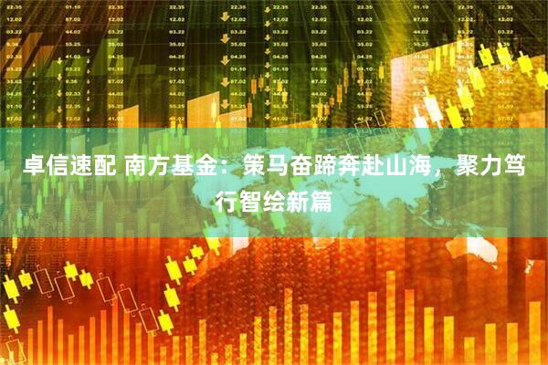 卓信速配 南方基金：策马奋蹄奔赴山海，聚力笃行智绘新篇